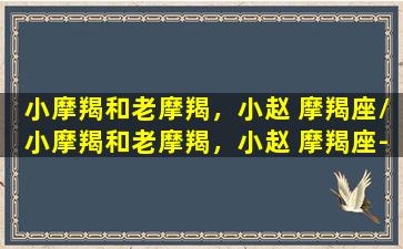 小摩羯和老摩羯，小赵 摩羯座/小摩羯和老摩羯，小赵 摩羯座-我的网站